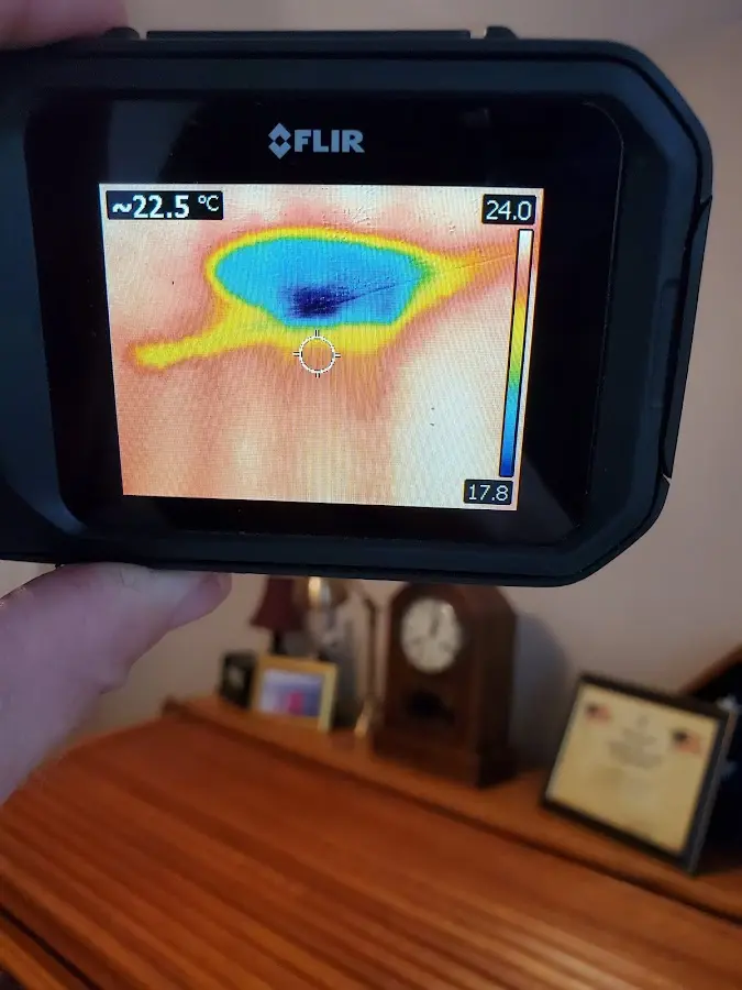 Thermal imaging inspection for water damage in Brick